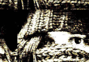htpic.jpg
